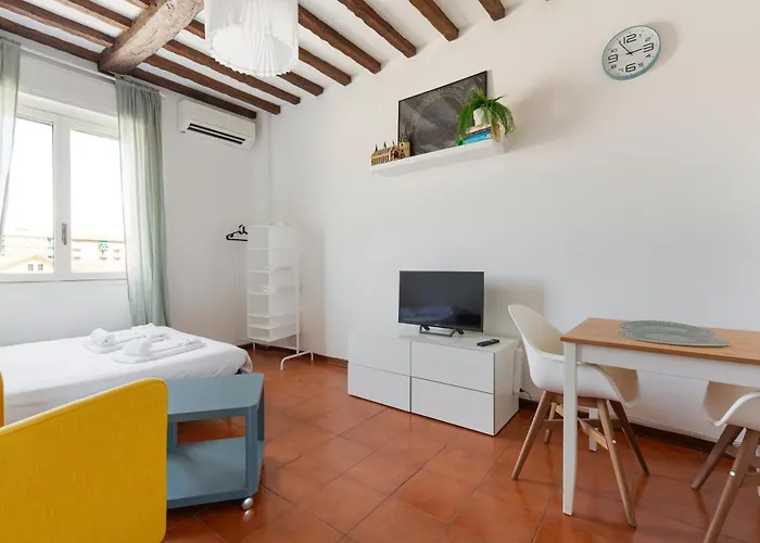 Savona District Comfy Studio